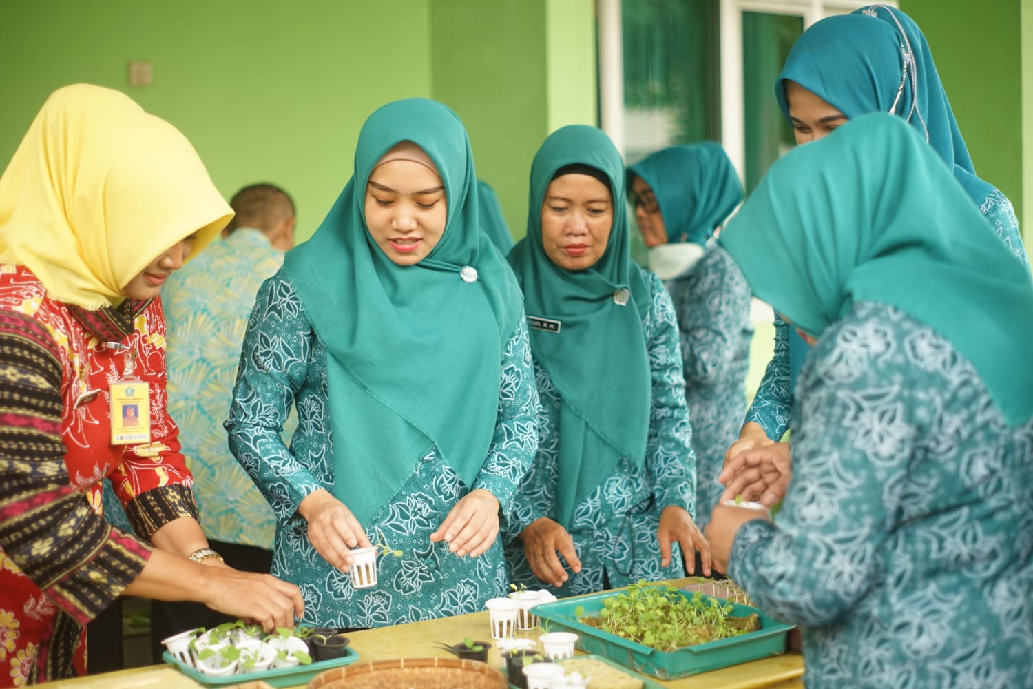 lahan3